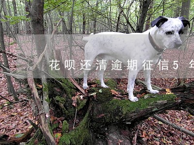 花呗还清逾期征信5年能恢复吗 花呗还清逾期征信5年能恢复吗