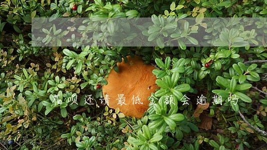 花呗还请最低金额会逾期吗