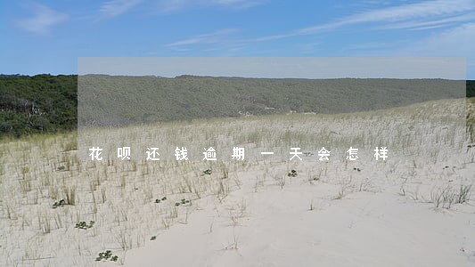 花呗还钱逾期一天会怎样