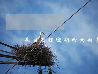 花呗还钱逾期两天会怎么办
