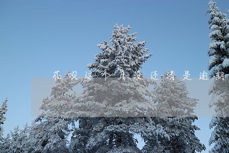花呗这个月没还清是逾期吗 花呗这个月没还清是逾期吗