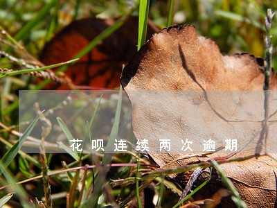 花呗连续两次逾期 花呗连续两次逾期