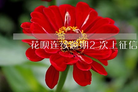 花呗连续逾期2次上征信 花呗连续逾期2次上征信