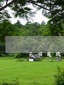 花呗连续逾期5个月会怎么样 花呗连续逾期5个月会怎么样