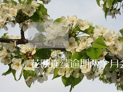花呗连续逾期两个月会怎么样 花呗连续逾期两个月会怎么样