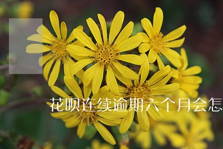 花呗连续逾期六个月会怎样 花呗连续逾期六个月会怎样