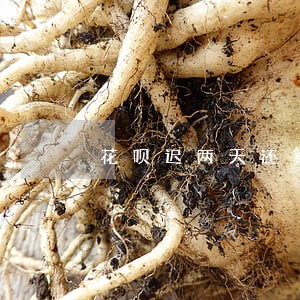花呗迟两天还算逾期吗 花呗迟两天还算逾期吗