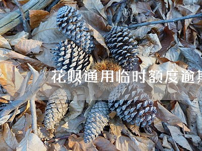 花呗通用临时额度逾期 花呗通用临时额度逾期