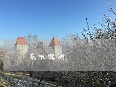 花呗逾期 花呗逾期