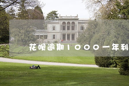 花呗逾期1000一年利息 花呗逾期1000一年利息