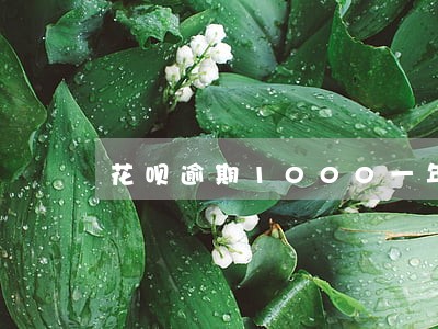 花呗逾期1000一年多 花呗逾期1000一年多