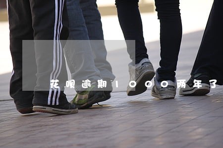 花呗逾期1000两年了 花呗逾期1000两年了