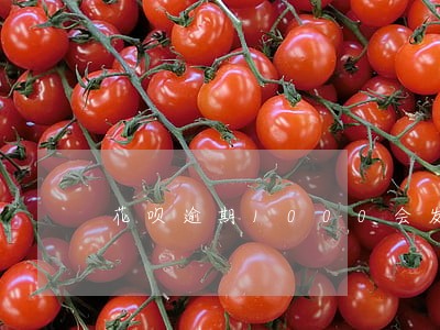花呗逾期1000会发律师函吗 花呗逾期1000会发律师函吗