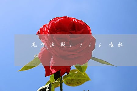 花呗逾期1000催收 花呗逾期1000催收