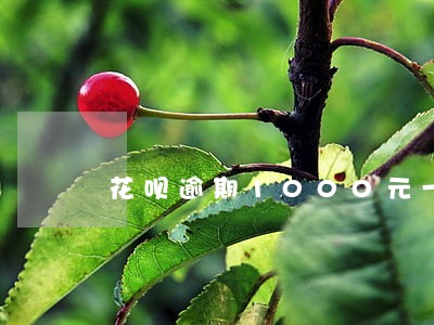 花呗逾期1000元一年的还多少 花呗逾期1000元一年的还多少
