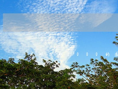 花呗逾期1000的图片 花呗逾期1000的图片