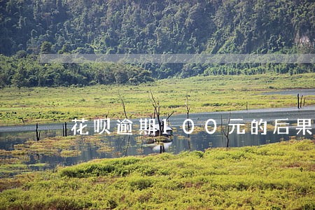 花呗逾期100元的后果 花呗逾期100元的后果