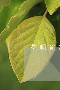 花呗逾期100后果 花呗逾期100后果