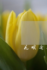 花呗逾期100天上门 花呗逾期100天上门