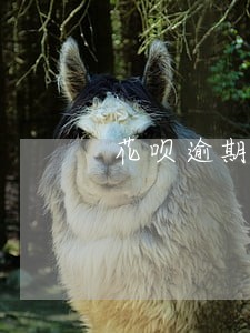花呗逾期100天怎么恢复
