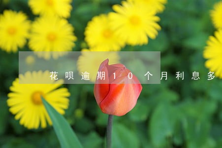 花呗逾期10个月利息多少 花呗逾期10个月利息多少