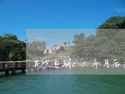 花呗逾期10个月后主动还清 花呗逾期10个月后主动还清