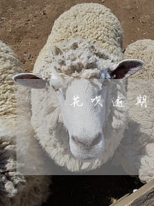花呗逾期10个月还清了冻结了 花呗逾期10个月还清了冻结了