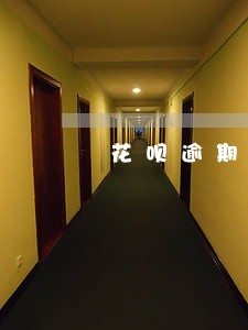 花呗逾期10了天会怎样 花呗逾期10了天会怎样