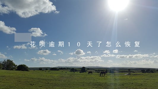 花呗逾期10天了怎么恢复 花呗逾期10天了怎么恢复