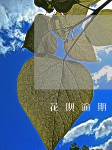 花呗逾期10天会冻结吗 花呗逾期10天会冻结吗