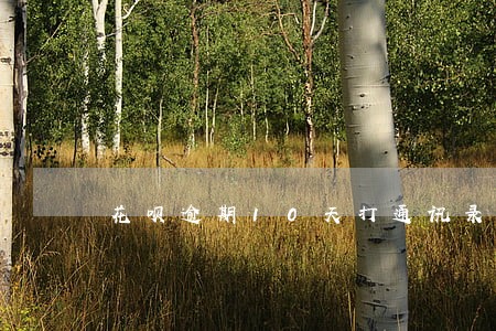 花呗逾期10天打通讯录吗 花呗逾期10天打通讯录吗