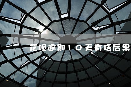 花呗逾期10天有啥后果 花呗逾期10天有啥后果