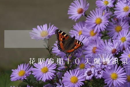 花呗逾期10天爆通讯录 花呗逾期10天爆通讯录
