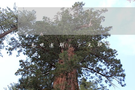 花呗逾期10天联系 花呗逾期10天联系