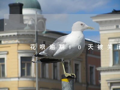 花呗逾期10天被关闭 花呗逾期10天被关闭
