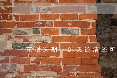 花呗逾期10天还清还可以用不 花呗逾期10天还清还可以用不