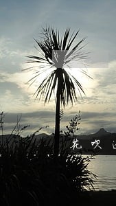 花呗逾期10有影响吗 花呗逾期10有影响吗