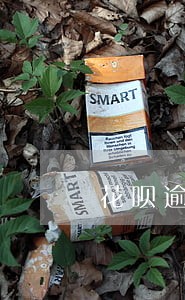 花呗逾期10次能否贷款买房 花呗逾期10次能否贷款买房