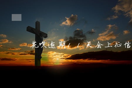 花呗逾期11天会上征信记录么