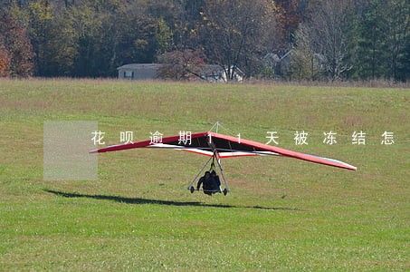 花呗逾期11天被冻结怎么能解开 花呗逾期11天被冻结怎么能解开