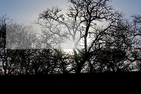 花呗逾期122天会上征信吗 花呗逾期122天会上征信吗