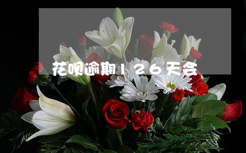 花呗逾期126天会 花呗逾期126天会