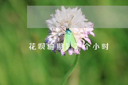 花呗逾期12个小时 花呗逾期12个小时