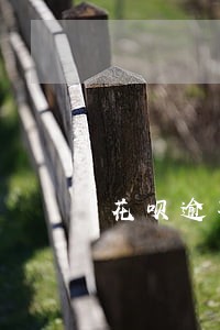 花呗逾期12天会上征信么 花呗逾期12天会上征信么