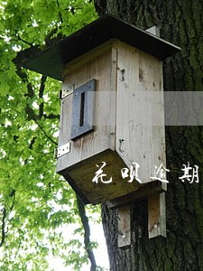 花呗逾期12天还清了 花呗逾期12天还清了