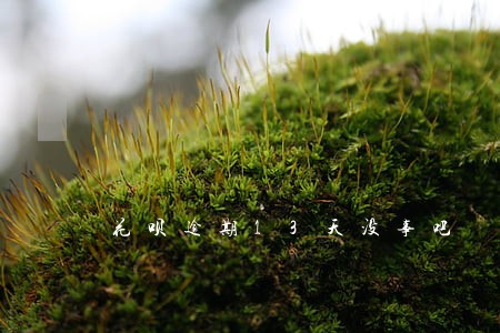 花呗逾期13天没事吧 花呗逾期13天没事吧