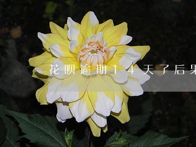花呗逾期14天了后果呢 花呗逾期14天了后果呢