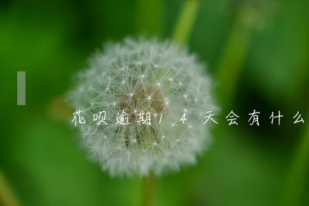 花呗逾期14天会有什么后果 花呗逾期14天会有什么后果