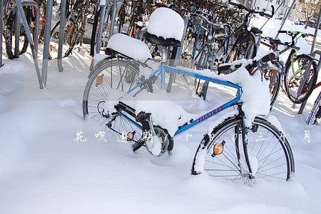 花呗逾期1500三个月 花呗逾期1500三个月