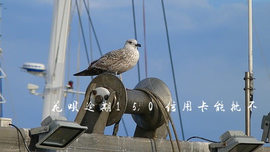 花呗逾期150信用卡能批不 花呗逾期150信用卡能批不